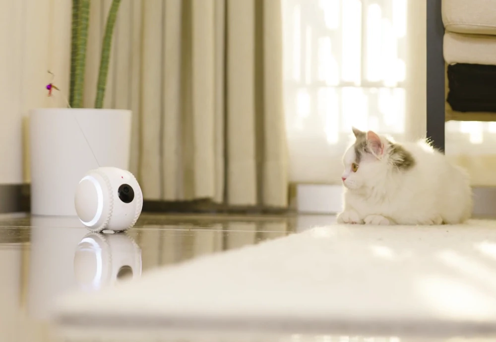 best indoor camera for watching pets